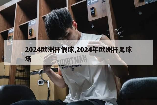 2024欧洲杯假球,2024年欧洲杯足球场