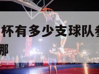 2024欧洲杯有多少支球队参加,2024欧洲杯在哪