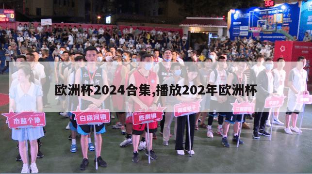 欧洲杯2024合集,播放202年欧洲杯