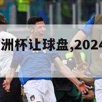 2024年欧洲杯让球盘,2024年欧洲杯足球场