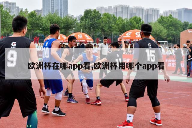 欧洲杯在哪app看,欧洲杯用哪个app看